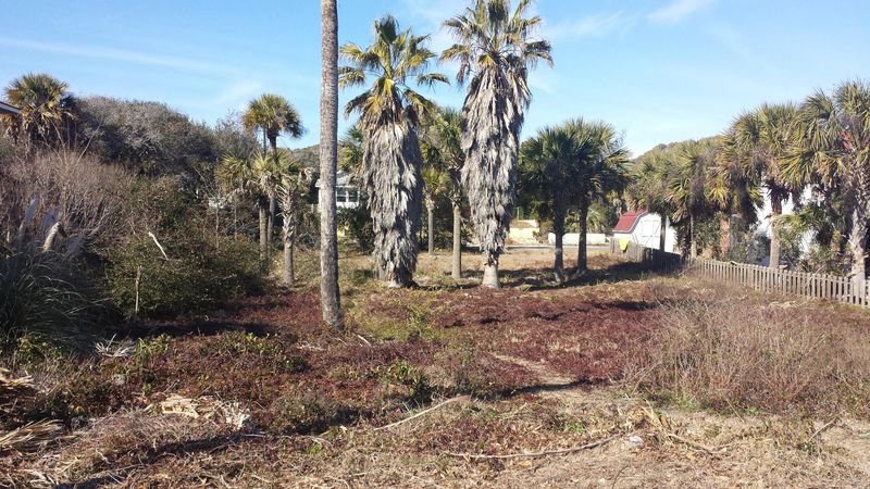 814 E Arctic Ave, Folly Beach, SC 29439