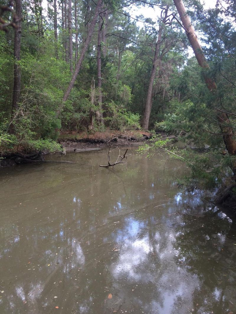 0 Clark Hills Cir, Johns Island, SC 29455