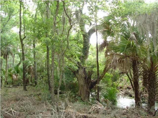 9-Hb Palmetto Pointe Rd, Edisto Island, SC 29438