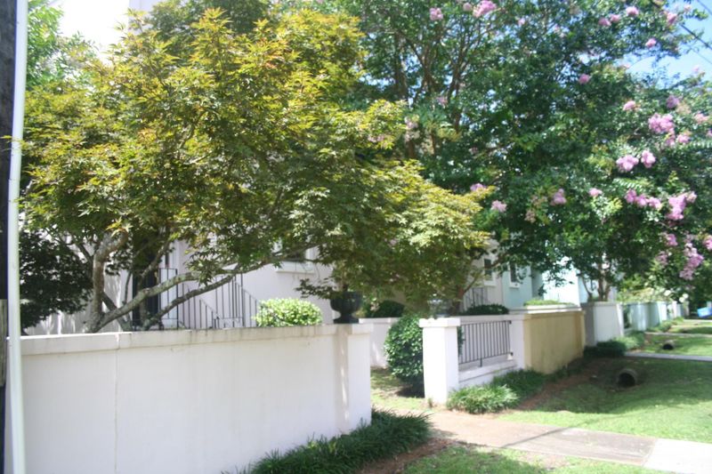 832 Colony Dr, Charleston, SC 29407