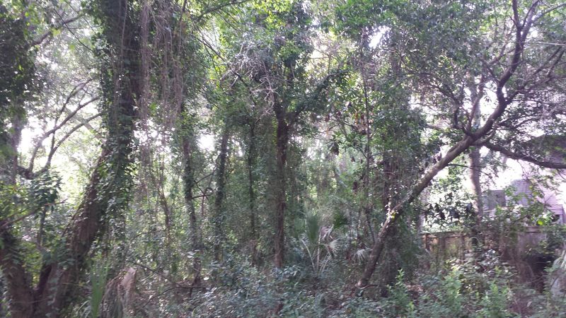 306 E Erie Ave, Folly Beach, SC 29439