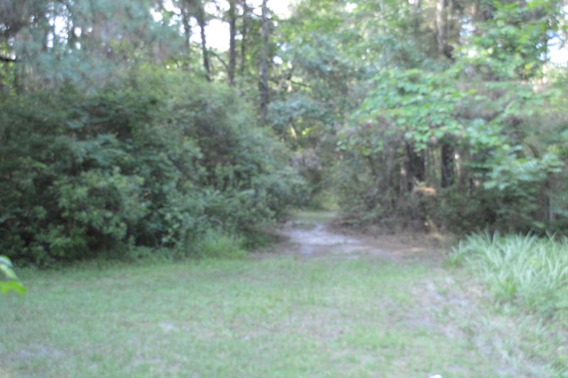 12 Warren Dr, Mcclellanville, SC 29458