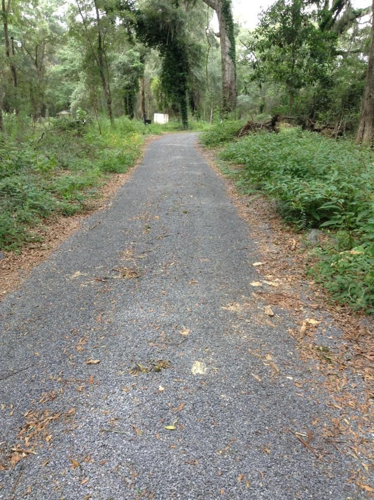 Lot 4 Percial Ross, Wadmalaw Island, SC 29487