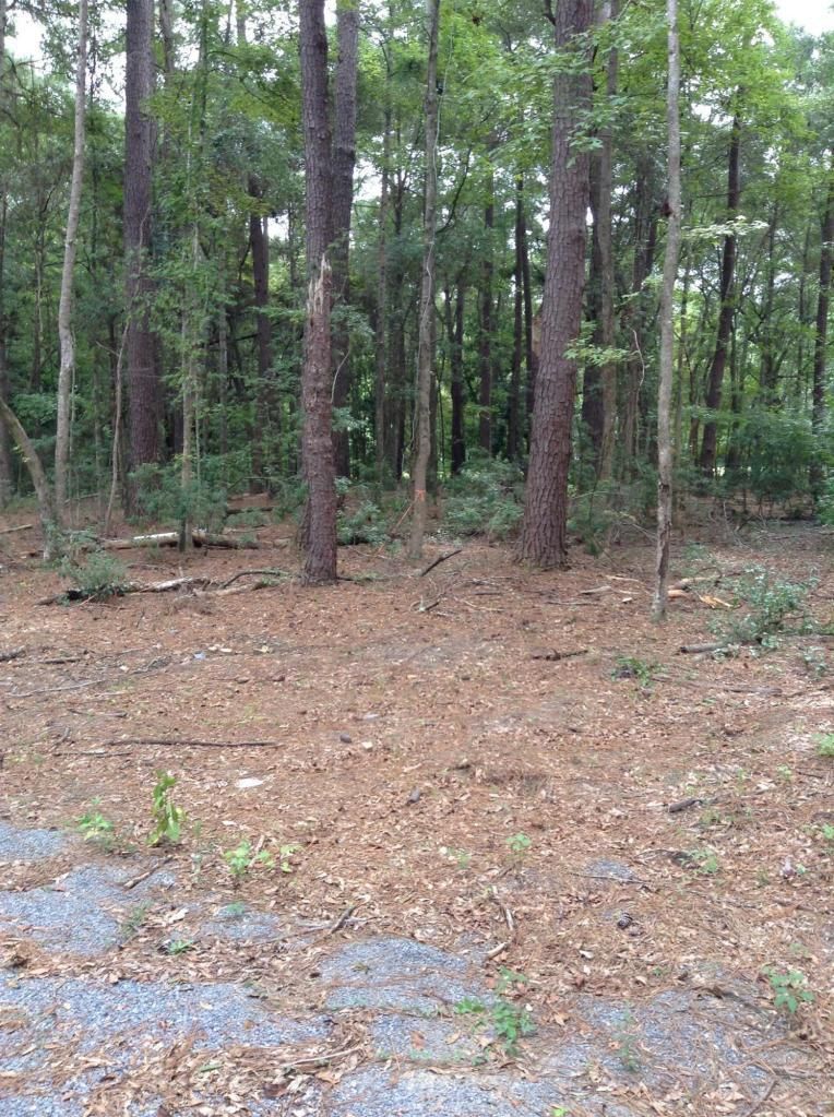 Lot 4 Percial Ross, Wadmalaw Island, SC 29487