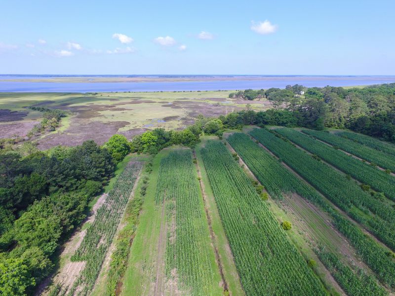 0 Laurel Hill Rd, Edisto Island, SC 29438