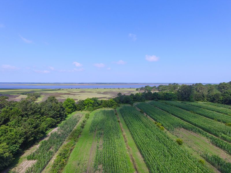 0 Laurel Hill Rd, Edisto Island, SC 29438