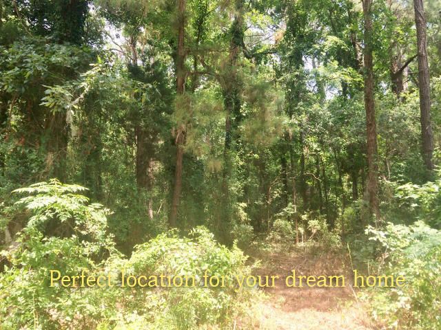 2544 Highway 174, Edisto Island, SC 29438