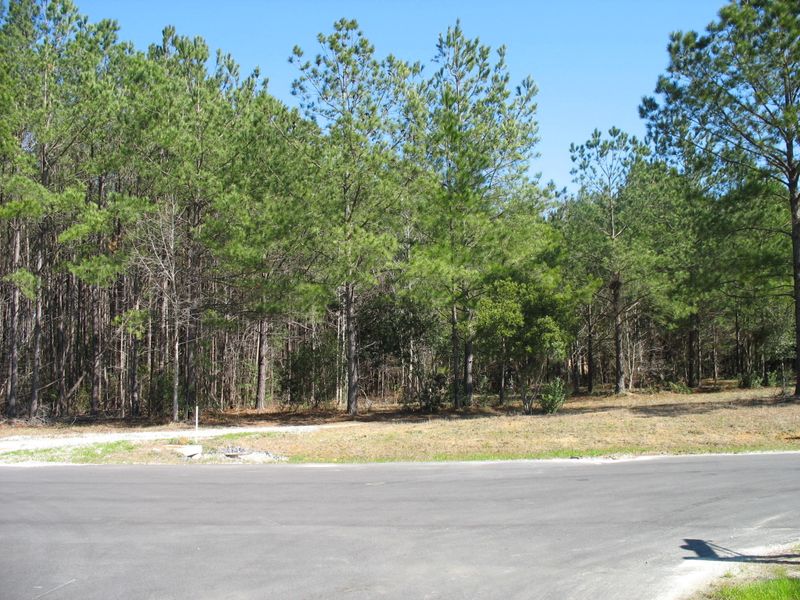 106 Whooping Crane Ct, Summerville, SC 29483