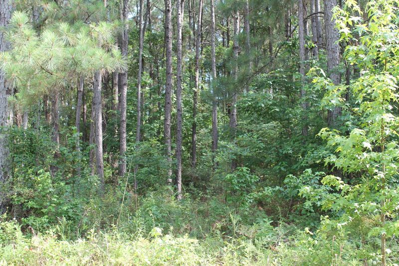 0 Bridle Gate, Awendaw, SC 29429