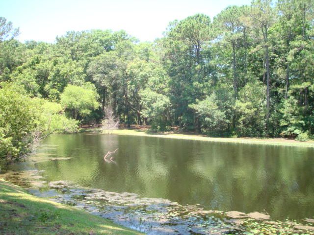 8180 Loran Ct, Edisto Island, SC 29438