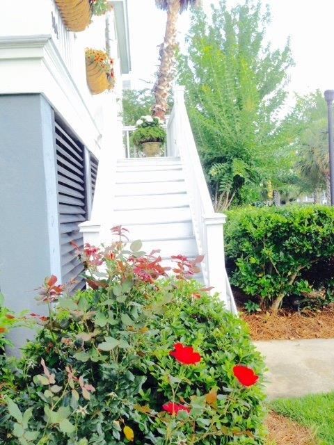 114 Currier St, Daniel Island, SC 29492