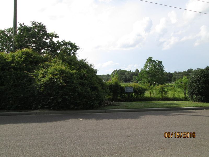 101 Dandelion St, Summerville, SC 29483