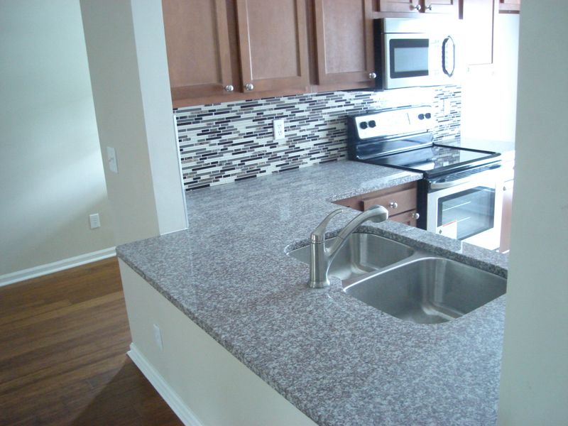 353 Parish Parc Dr, Summerville, SC 29485