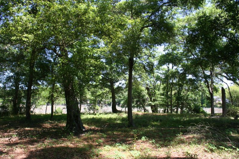 0 Taliaferro Ave, Charleston, SC 29412