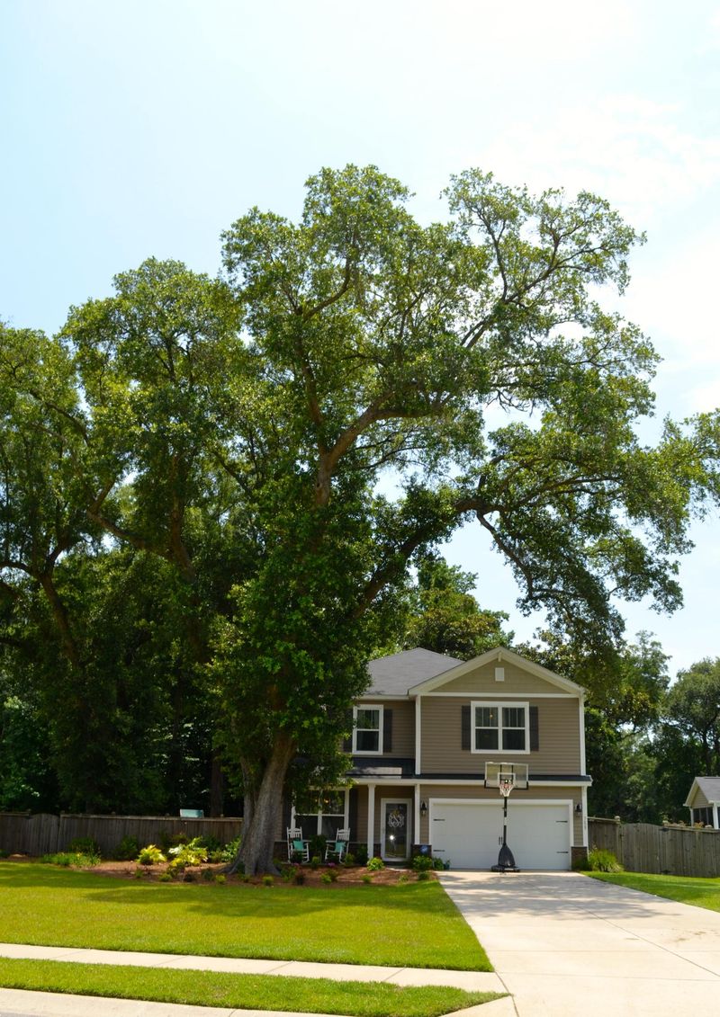 3629 Locklear Ln, Mount Pleasant, SC 29466