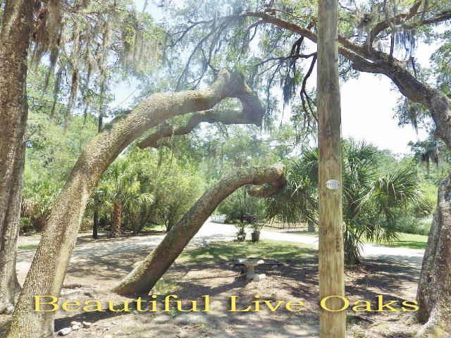 8342 Shell House Rd, Edisto Island, SC 29438