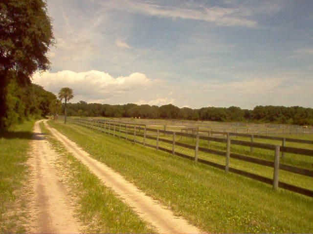 2545 Daniel Fludd Rd, Johns Island, SC 29455