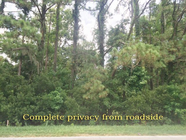 2546 Highway 174, Edisto Island, SC 29438