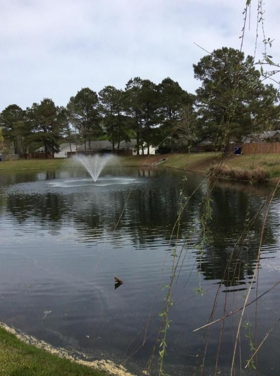 1340 Pinnacle Ln, Charleston, SC 29412
