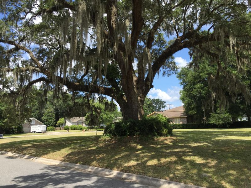 0 Edith St, North Charleston, SC 29418