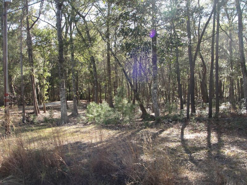 2999 Edenvale Rd, Johns Island, SC 29455