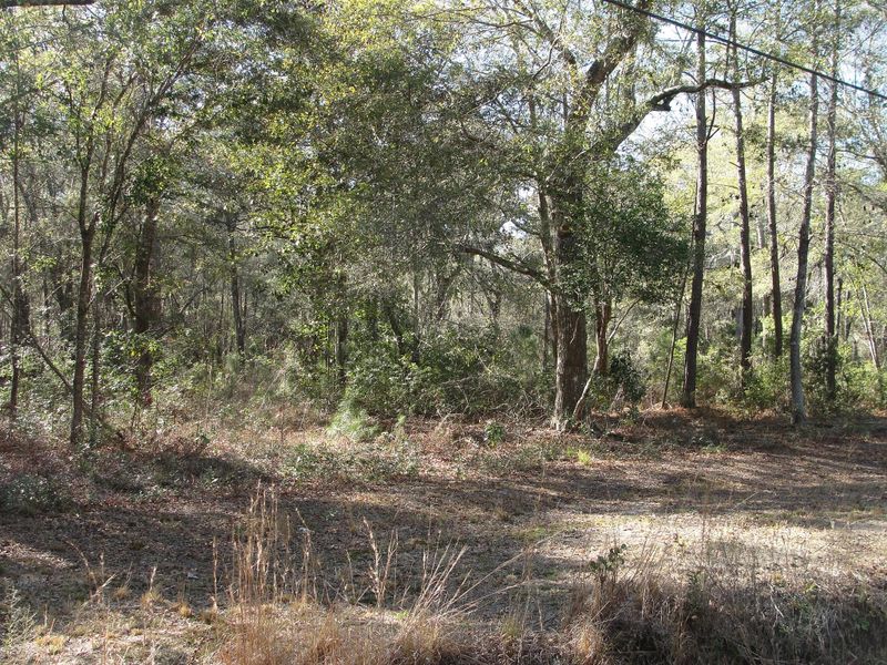 2999 Edenvale Rd, Johns Island, SC 29455