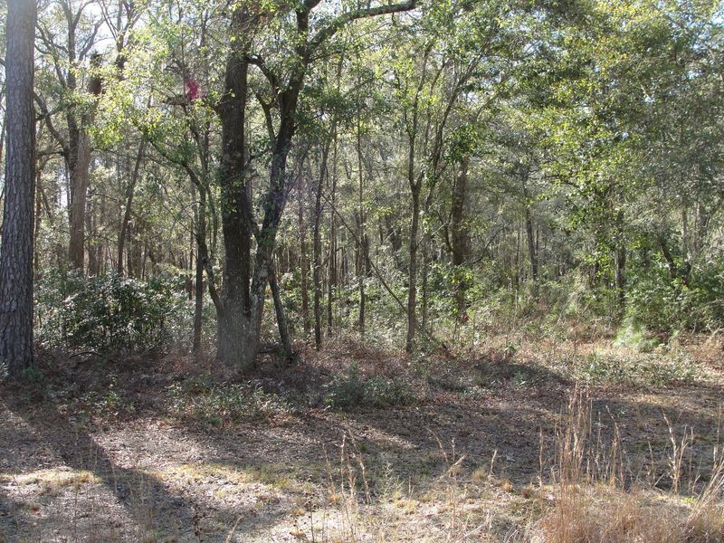 2999 Edenvale Rd, Johns Island, SC 29455