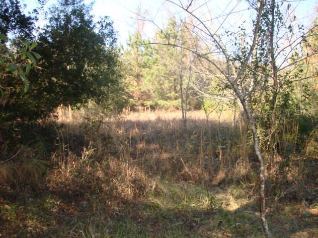 7718 Point Of Pines Rd, Edisto Island, SC 29438