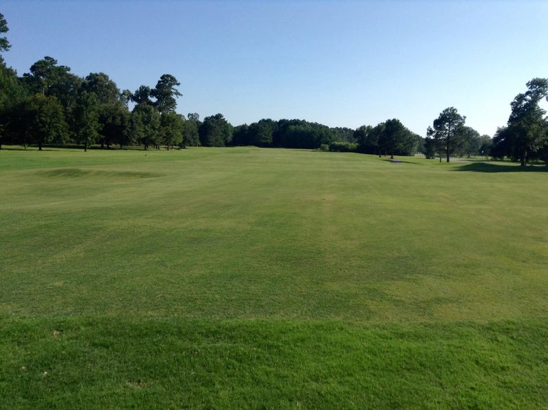 3356 Cottonfield, Mount Pleasant, SC 29466