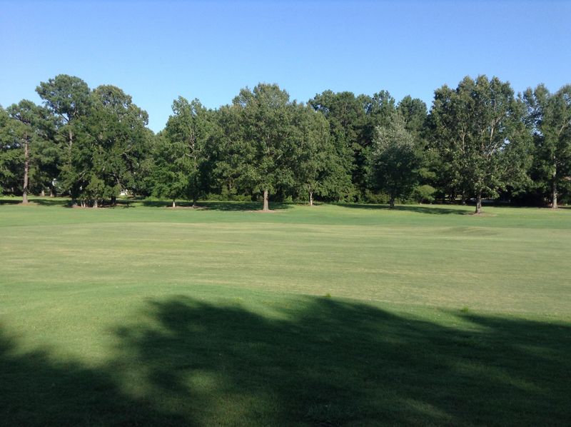 3356 Cottonfield, Mount Pleasant, SC 29466