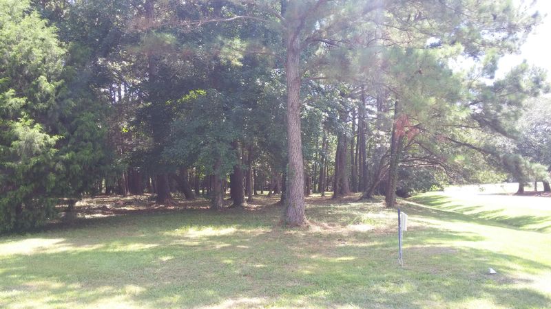0 Steeplechase Ln, Hollywood, SC 29449