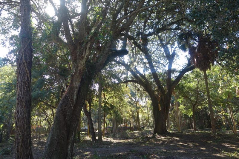 278 Forest Trl, Isle Of Palms, SC 29451