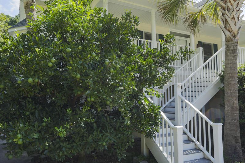 1806 Clark Hills Cir, Johns Island, SC 29455