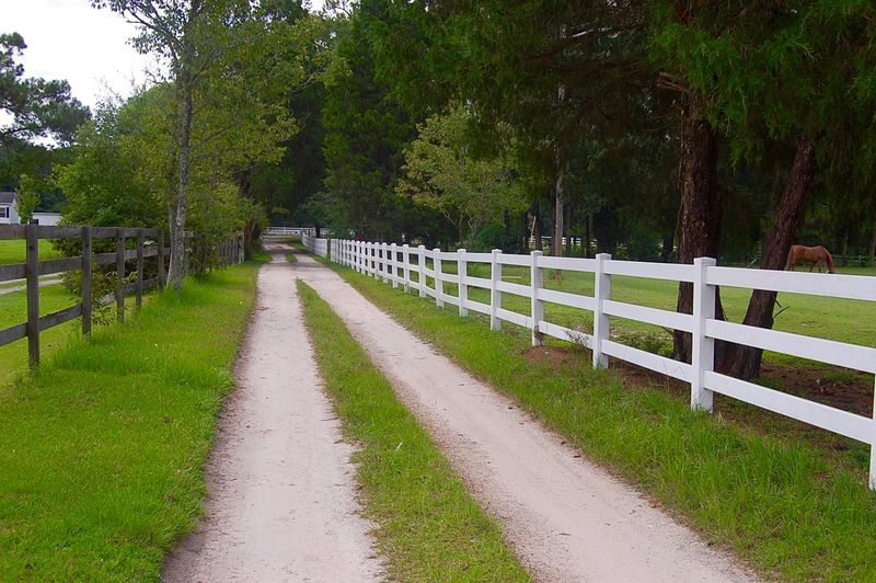 1616 Rose Dr, Summerville, SC 29485