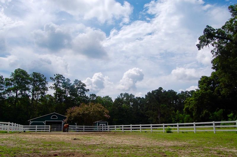 1616 Rose Dr, Summerville, SC 29485