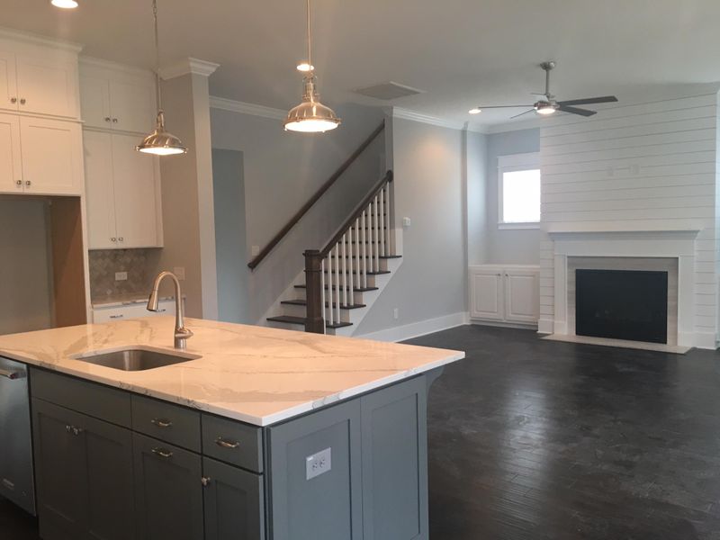 1471 Mossy Branch, Mount Pleasant, SC 29464