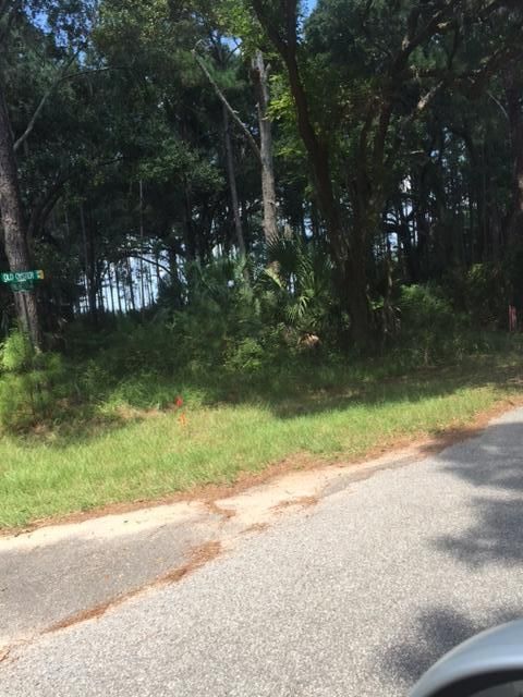2db Old Oyster Ln #2e, Edisto Island, SC 29438