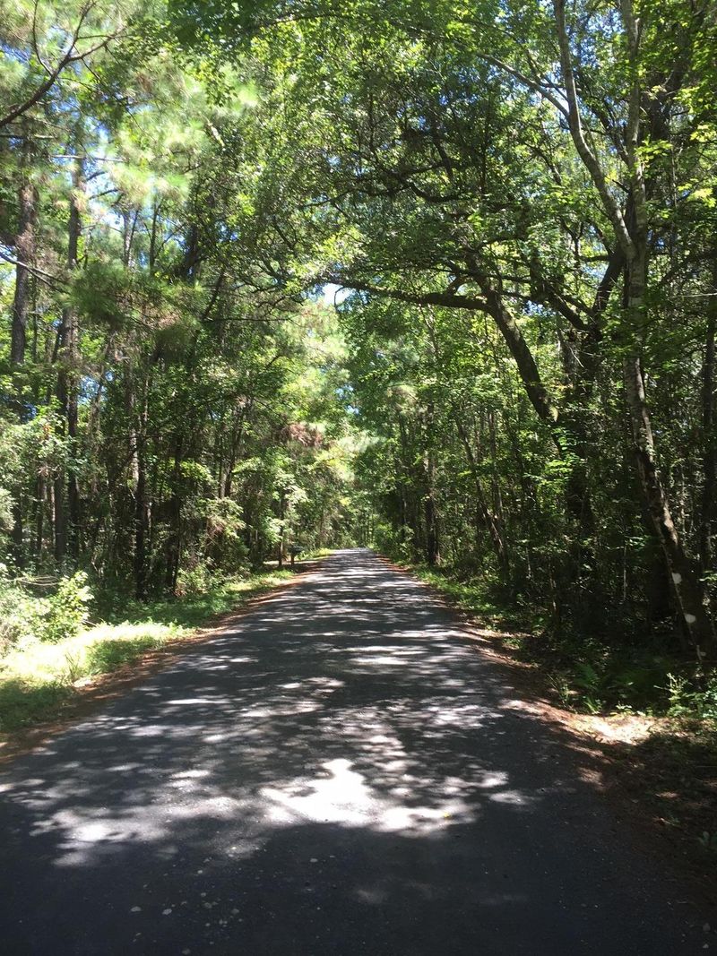 612 Romain, Mcclellanville, SC 29458
