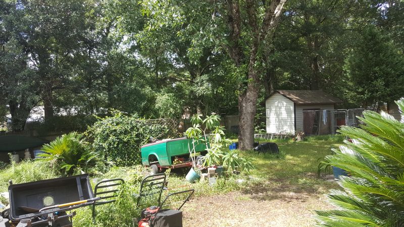 115 Westfield Ave, Goose Creek, SC 29445