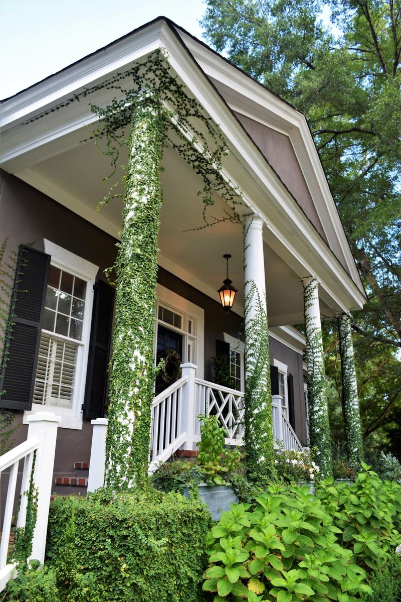 369 Sugar Cane Way, Mount Pleasant, SC 29464