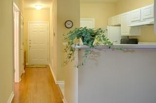 1600 Long Grove Dr #813, Mount Pleasant, SC 29464