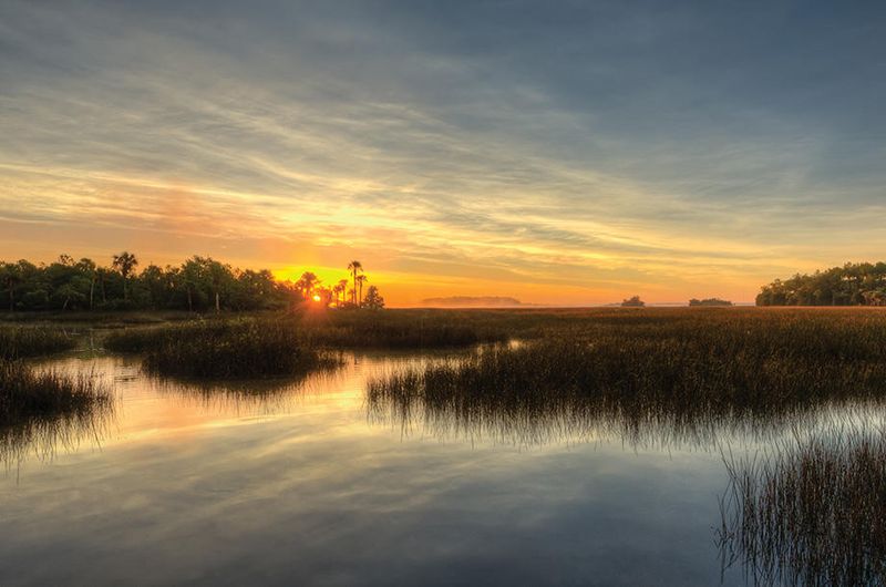 129 Nobels Point St, Daniel Island, SC 29492