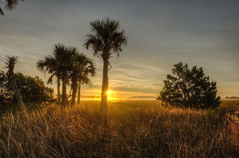 119 Nobels Point St, Daniel Island, SC 29492
