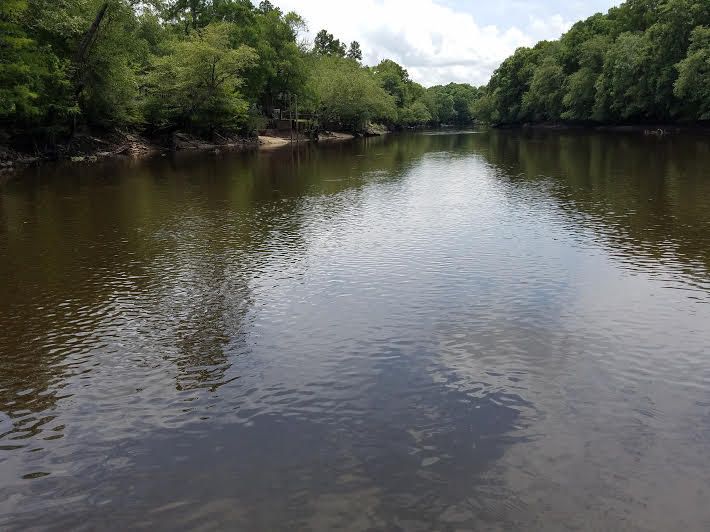 379 Four Holes Rd, Ridgeville, SC 29472