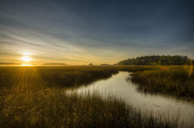 117 Nobels Point St, Daniel Island, SC 29492