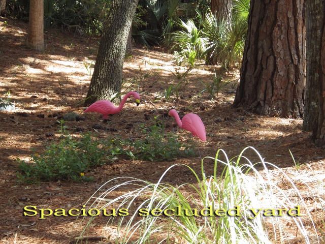 819 Club Cottage Rd, Edisto Beach, SC 29438