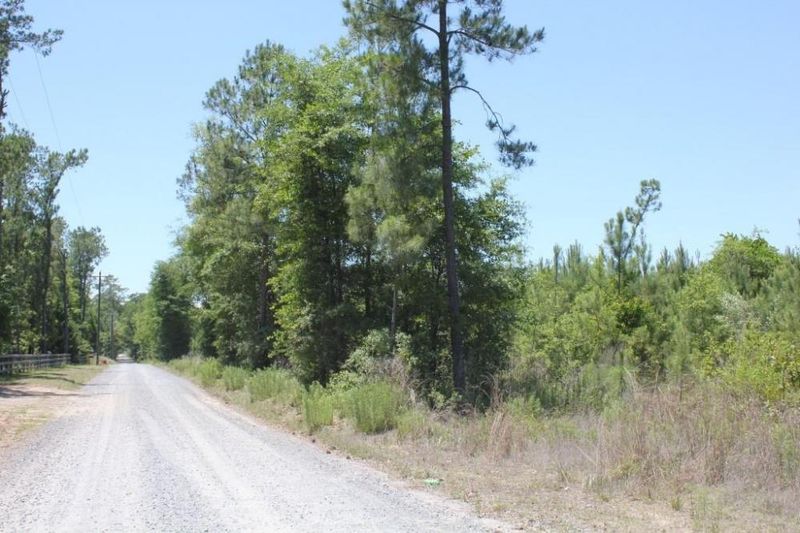 0 Old Cemetery Rd, Shulerville, SC 29453