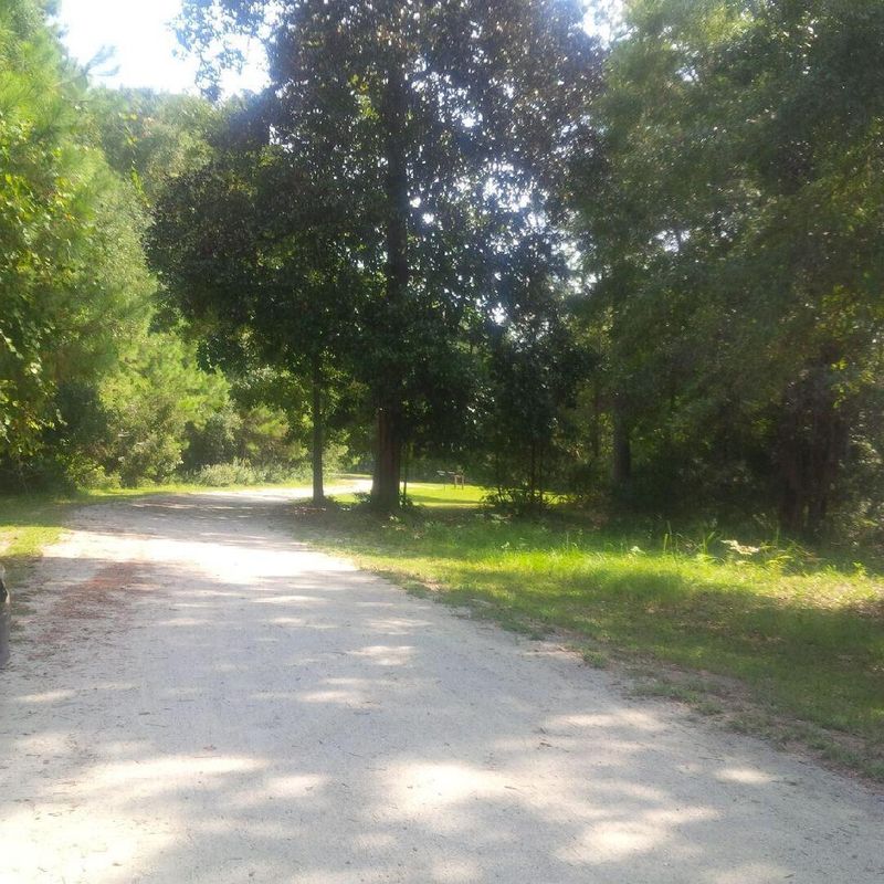 7 Preserve Rd, Johns Island, SC 29455