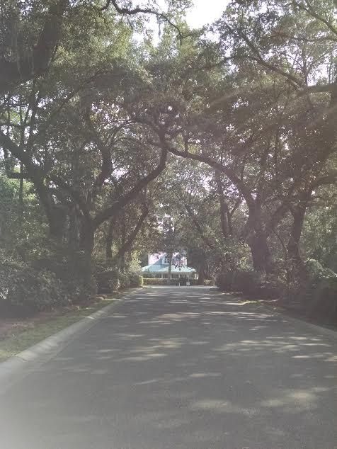 533 Shem Butler, Charleston, SC 29414
