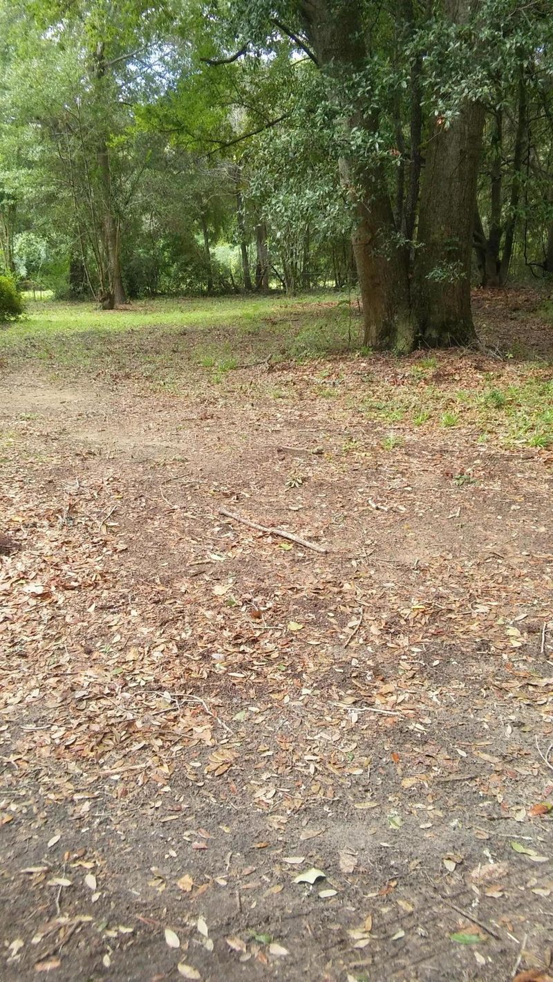 1149 Camp Rd, Charleston, SC 29412